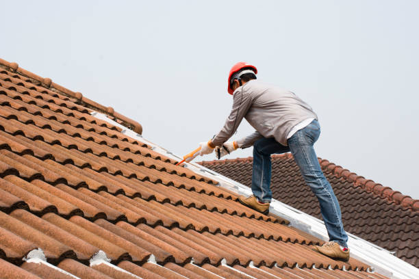 Professional  Roofing repair and installation in Florence, AL