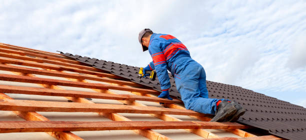 Best Asphalt Shingle Roofing  in Florence, AL