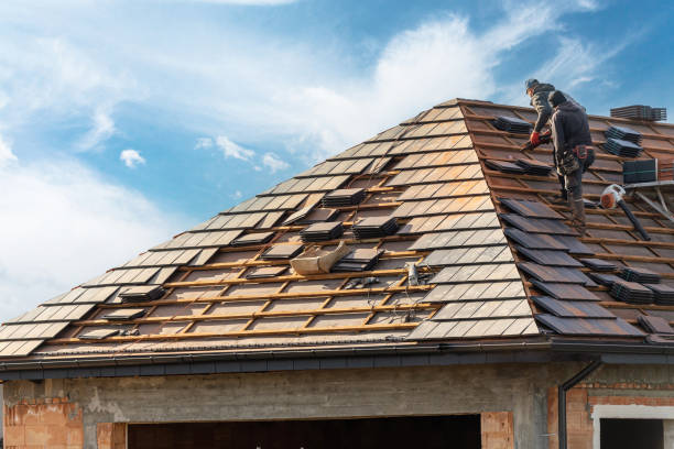 Best Gutter Installation and Repair  in Florence, AL