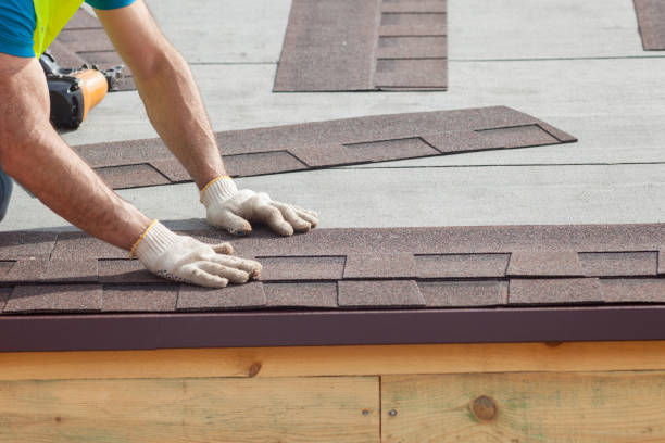 Best Solar Panel Roofing Installation  in Florence, AL